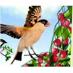 Malla Antipajaros Extruida 168gr/ud. 4x6m Malla Antipajaros Extruida 168gr/ud. 4x6m