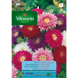 Semilla Reina Margarita Princesa Variada Semilla Reina Margarita Princesa Variada