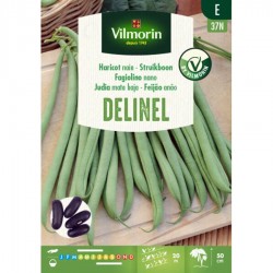 Semillas Judia Mata Baja Delinel 125grs Vilmorin Semillas Judia Mata Baja Delinel 125grs Vilmorin