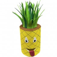 Cabezudo Anana Piña