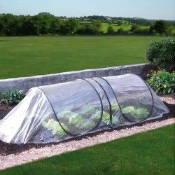 Tunel de Crecimiento 3 segundos