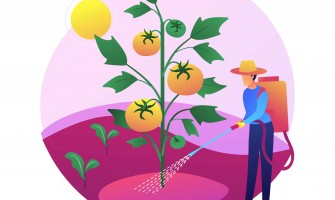 Por qué los productos fitosanitarios son imprescindibles Por qué los productos fitosanitarios son imprescindibles