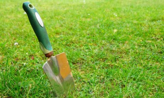 La guía definitiva para el cuidado del césped en verano La guía definitiva para el cuidado del césped en verano