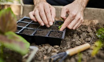 La importancia de utilizar productos fitosanitarios de calidad La importancia de utilizar productos fitosanitarios de calidad