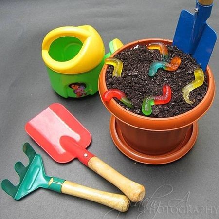 Tratamientos de choque para el jardín: cómo salvar tus plantas de plagas graves